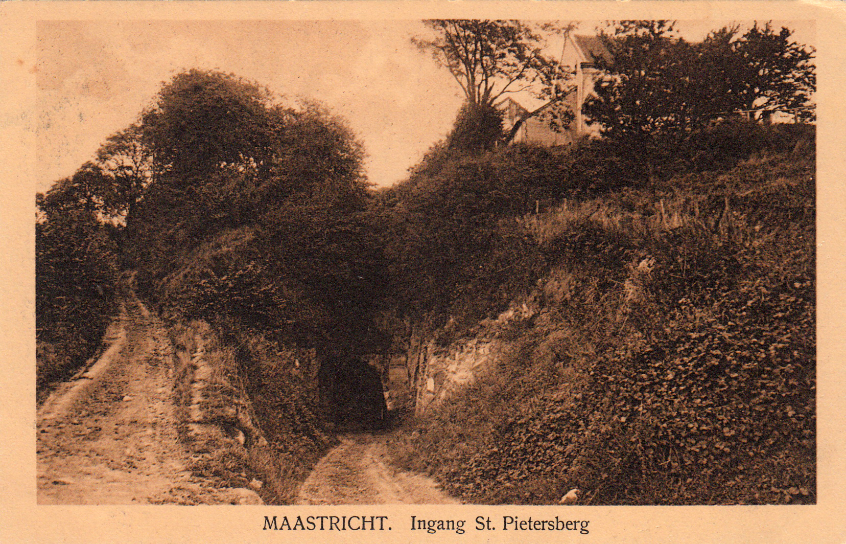 DSC_0030%20kopiëren