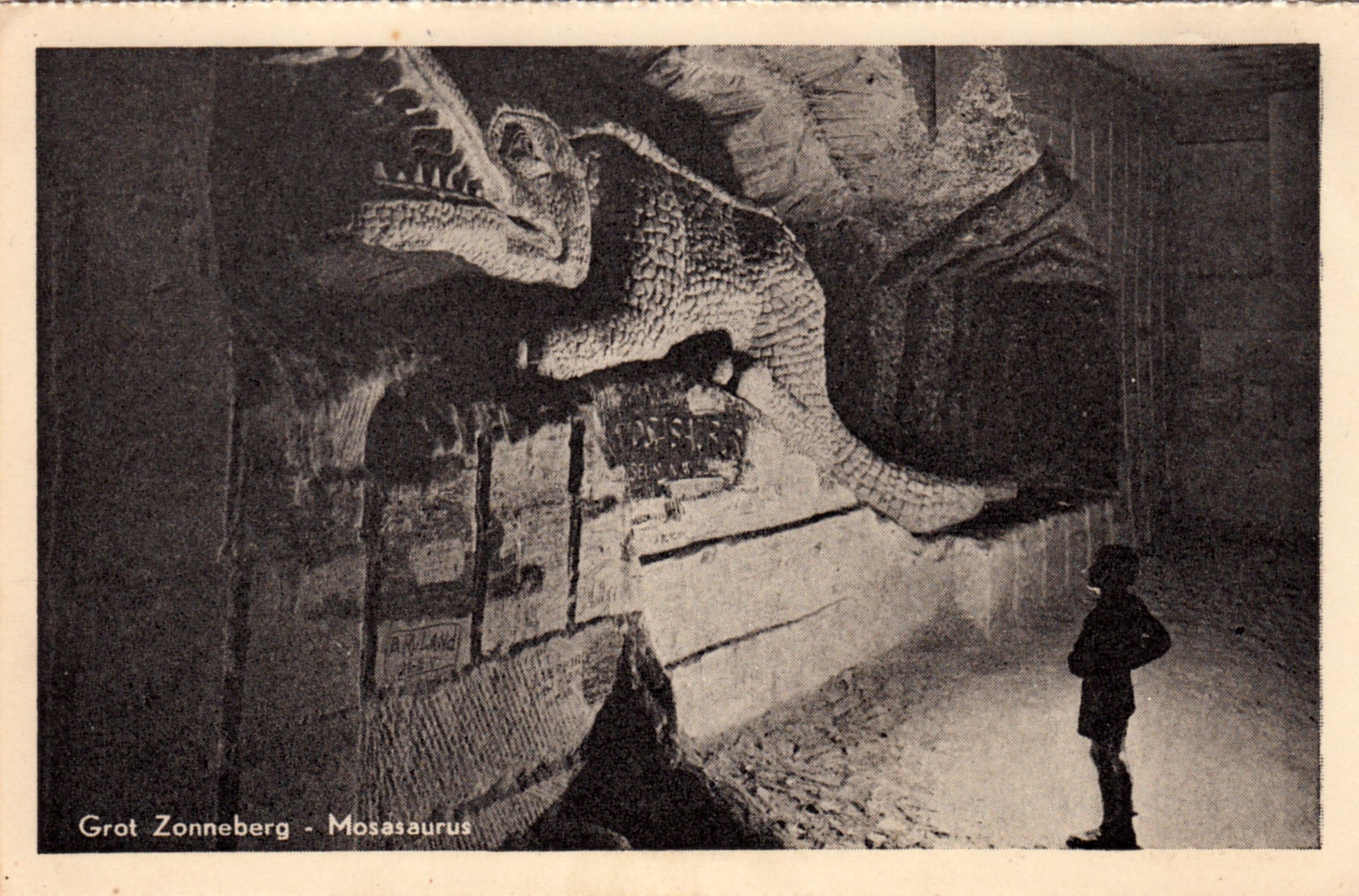 DSC_0030%20kopiëren