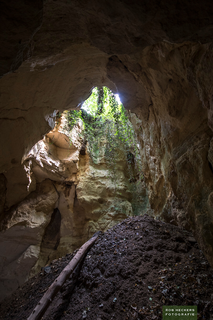 DSC_s0599%20kopiëren